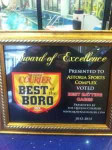 best-batting-cage-award